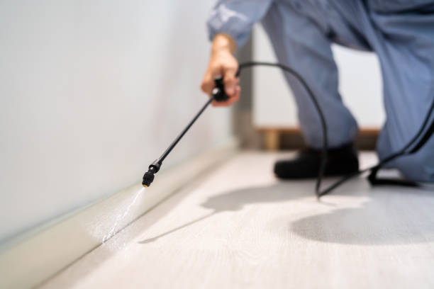 Licensed Termite Control service in Kent City, MI - Nex Pest Control