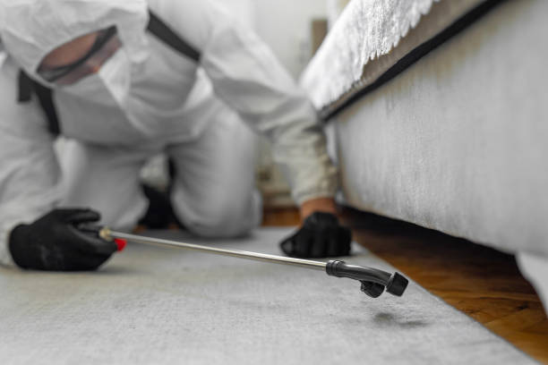 Professional Termite Control technician working in Kent City, MI