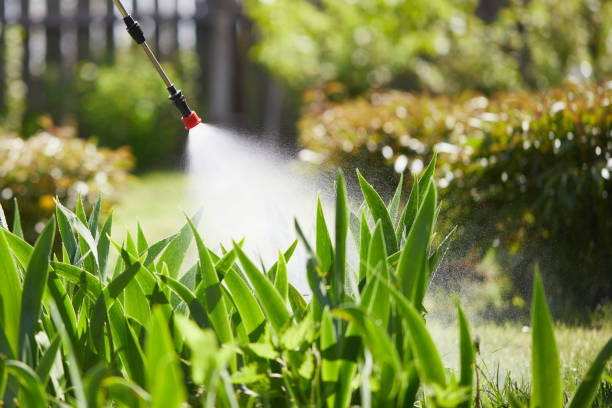 24/7 Emergency Termite Control experts in Kent City, MI