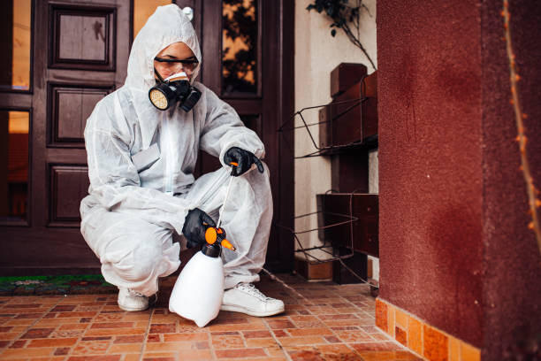 Reliable Termite Control contractor in Kent City, MI by Nex Pest Control