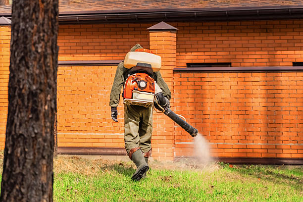 Trusted Bed Bug Control service in Kent City, MI - Nex Pest Control